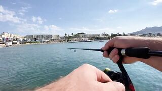 Бодрумские дорады откусывают крючки вместе с приманками - часть 1. Turkey Rockfishing