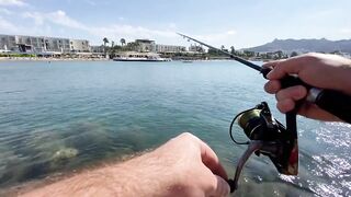 Бодрумские дорады откусывают крючки вместе с приманками - часть 1. Turkey Rockfishing