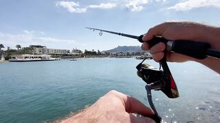 Бодрумские дорады откусывают крючки вместе с приманками - часть 1. Turkey Rockfishing