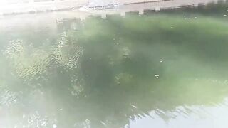 Рыбалка в Авсалларе - нереально красивое место у кафе Ароматик