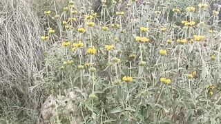 Исследуем места для рыбалки в Авсалларе