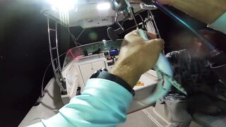 Кипр - впервые ловлю скумбрию на sabiki, часть 72 - сезон 2025