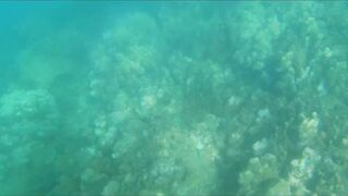 Джибути - неизведанный остров и рыбалка на острове