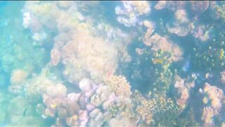 Джибути - неизведанный остров и рыбалка на острове