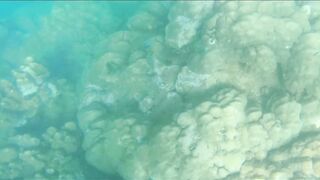 Джибути - неизведанный остров и рыбалка на острове