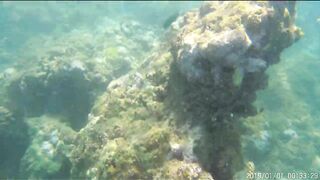 Джибути - неизведанный остров и рыбалка на острове