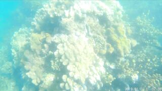 Джибути - неизведанный остров и рыбалка на острове