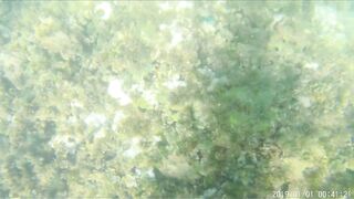 Джибути - неизведанный остров и рыбалка на острове