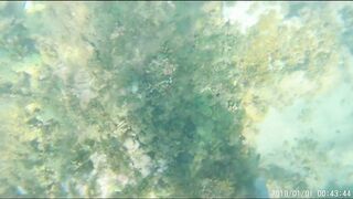 Джибути - неизведанный остров и рыбалка на острове