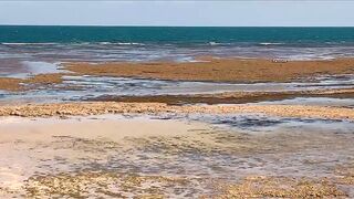 Джибути - неизведанный остров и рыбалка на острове