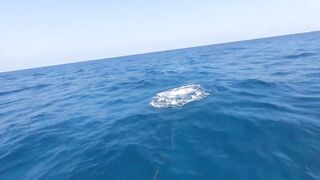 Рыбалка в Джибути - берег и острова