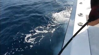 Рыбалка в Джибути - берег и острова