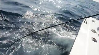 Рыбалка в Джибути - берег и острова