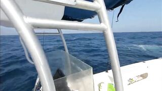 Рыбалка в Джибути - берег и острова