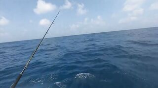 Рыбалка в Джибути - берег и острова