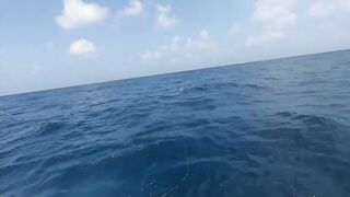 Рыбалка в Джибути - берег и острова