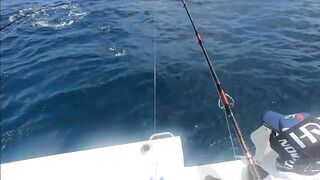 Рыбалка в Джибути - берег и острова