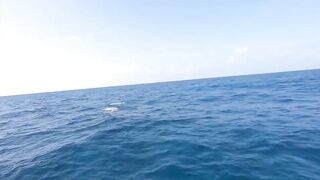 Рыбалка в Джибути - берег и острова