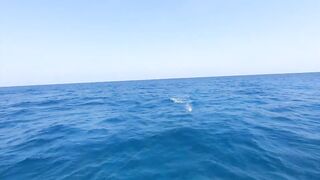 Рыбалка в Джибути - берег и острова