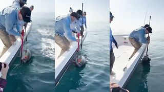 Оман, Салала - приглашаю на рыбалку (WhatsApp)