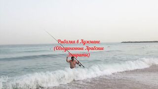 Рыбалка в Аджмане - берег и пирсы