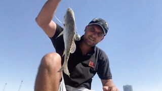 Рыбалка в Аджмане возле моря