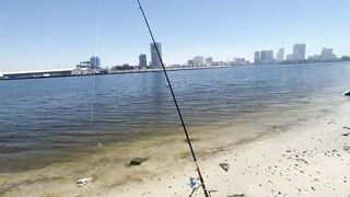 Рыбалка в Аджмане возле моря