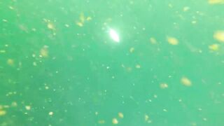 Рыбалка в Аджмане, ОАЭ