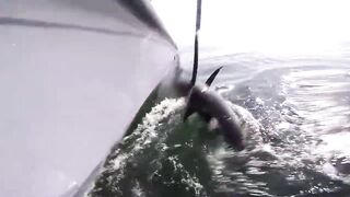 Рыбалка в Аджмане, ОАЭ