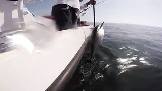 Рыбалка в Аджмане, ОАЭ