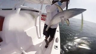 Рыбалка в Аджмане, ОАЭ