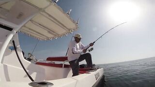 Рыбалка в Аджмане, ОАЭ