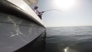 Рыбалка в Аджмане, ОАЭ