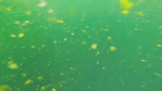 Рыбалка в Аджмане, ОАЭ