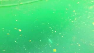 Рыбалка в Аджмане, ОАЭ