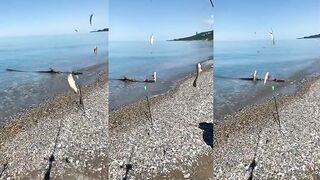 Лазаревское, Сочи - рыбалка