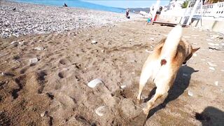 Лазаревское - рыбалка шариком на море, 04.11.2020, Сочи, ноябрь