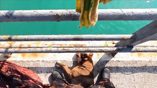 Лазаревское - рыбалка шариком на море, 04.11.2020, Сочи, ноябрь