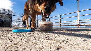 Лазаревское - рыбалка шариком на море, 04.11.2020, Сочи, ноябрь