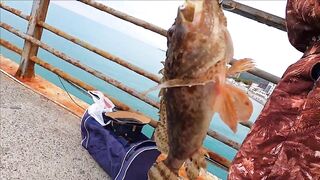 Лазаревское - рыбалка шариком на море, 04.11.2020, Сочи, ноябрь