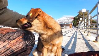 Лазаревское - рыбалка шариком на море, 04.11.2020, Сочи, ноябрь