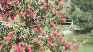 Сириус - рыбалка в Сочи