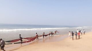 Шри-Ланка, Хиккадува - рыбалка: здесь рыба есть!