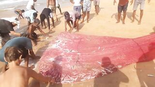 Шри-Ланка, Хиккадува - рыбалка: здесь рыба есть!