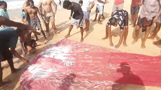 Шри-Ланка, Хиккадува - рыбалка: здесь рыба есть!