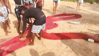 Шри-Ланка, Хиккадува - рыбалка: здесь рыба есть!