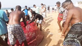 Шри-Ланка, Хиккадува - рыбалка: здесь рыба есть!