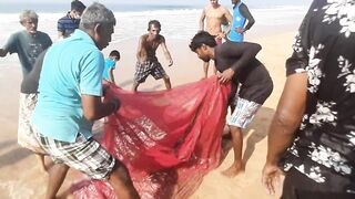 Шри-Ланка, Хиккадува - рыбалка: здесь рыба есть!