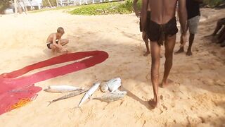 Шри-Ланка, Хиккадува - рыбалка: здесь рыба есть!