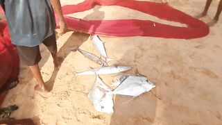 Шри-Ланка, Хиккадува - рыбалка: здесь рыба есть!